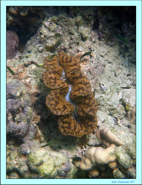 2011 - 03 - Koh Kradan 061